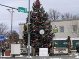 Plaza with large Christmas tree