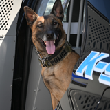 K9 Tuso